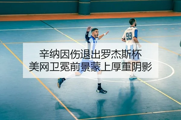辛纳因伤退出罗杰斯杯 美网卫冕前景蒙上厚重阴影 - yaxin